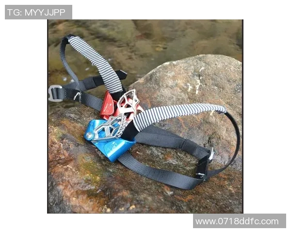 飞盘装备选购:攀岩绳推荐